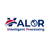 VALOR PROFESSIONAL SOLUTIONS, L.L.C.