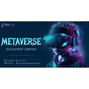 Metaverse Development Company