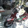 Cimatti