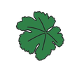 Proteris Biotech