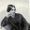 Alice B. Neal