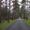 Brookwood, Surrey