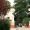 Tierpark Hagenbeck