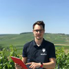 Nicolas Manfredini