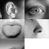 Sense