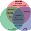 Microarray