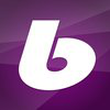 ballguide