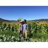 Present Tense Farm