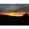 Sunset Insurance