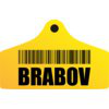 Brabov