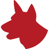 Red Dog Surf