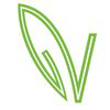 VegBed