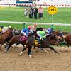 Thoroughbred horse racing