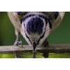 Hydrell Systems