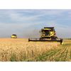 LLC Agro-industrial complex ALEXANDROVSKOYE