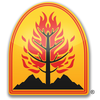 Wildfire Defense Systems Inc
