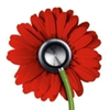 Lovelace Health System