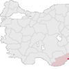 Soli, Cilicia