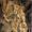Nude Descending a Staircase, No. 2
