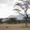 Shaba National Reserve