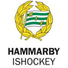 Hammarby IF