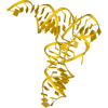 hC Bioscience