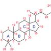Steroid
