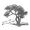 Silver Oak Partners