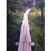 Far Out Trails
