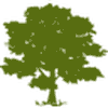 Community Health Systems
