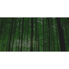 Enviro-Urgence Inc.