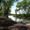 Pinetop-Lakeside, Arizona