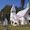 Fort Meade, Florida