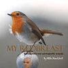 My Redbreast
