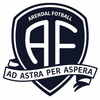 Arendal Fotball