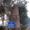 Palwal