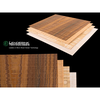 Lenderink Technologies