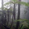 Humidity