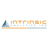 Intrinsic Analytics
