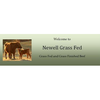 Newell Cattle