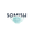 Somish - Blockchain Solutions Development