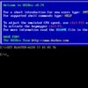 Emulator