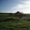 Godwick
