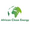 African Clean Energy