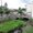 Calne