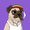Thug Dogs in Doggyland