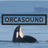 Orcasound