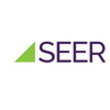Seer Analytics