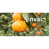Invaio