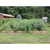 Bob's Farm